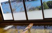 Туры в отель Kashikojima no yado Michishio