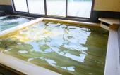 Туры в отель Kashikojima no yado Michishio