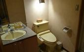 Туры в отель Via PAR Hotel Itami