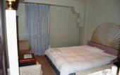 Туры в отель Via PAR Hotel Itami