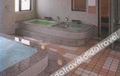 Туры в отель Famy Inn Makuhari