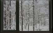 Туры в отель Miru Niseko