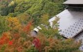 Туры в отель Shirafune Grand Hotel