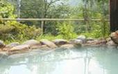 Туры в отель Shirafune Grand Hotel