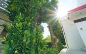 Туры в отель Sea Stay Okinawa