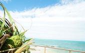 Туры в отель Sea Stay Okinawa