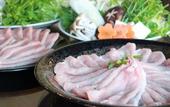 Туры в отель Nangoku Lodge Booya