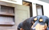 Туры в отель Nangoku Lodge Booya