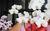 Туры в отель Nangoku Lodge Booya