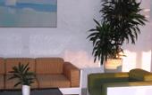 Туры в отель Apollo Hotel Aegina