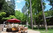 Туры в отель Phoenix Chalets