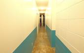 Туры в отель Seawall Hostel