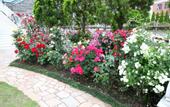 Туры в отель Hotel Sunlife Garden