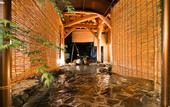 Туры в отель Tansen Hotel