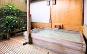Туры в отель Isawa Tokiwa Hotel