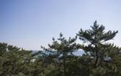 Туры в отель Kamogawakan