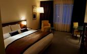 Туры в отель HOTEL MOLINO SHIN - YURI