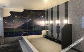 Туры в отель hotel MONday Premium TOYOSU