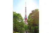 Туры в отель KOKO HOTEL Shimbashi Onarimon