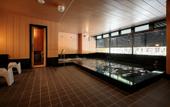 Туры в отель S-Peria Hotel Kyoto