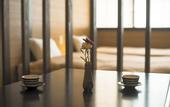 Туры в отель Hotel Lucent Takamiya