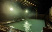 Туры в отель Hotel Lucent Takamiya