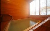 Туры в отель Hotel Lucent Takamiya