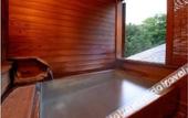 Туры в отель Hotel Lucent Takamiya
