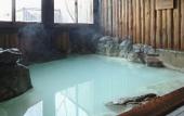 Туры в отель Hotel Lucent Takamiya
