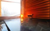 Туры в отель Hotel Lucent Takamiya