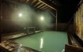 Туры в отель Hotel Lucent Takamiya