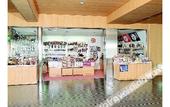 Туры в отель Hotel Lucent Takamiya