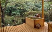 Туры в отель Motoyu Ryokan