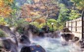 Туры в отель Motoyu Ryokan