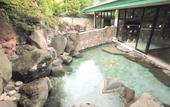 Туры в отель Fujiya Hotel