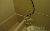 Туры в отель Hotel Kurobe