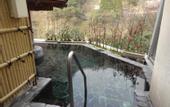 Туры в отель Hotel Kurobe