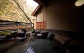 Туры в отель Nihon No Ashitaba