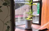 Туры в отель Futsukaichi Green Hotel