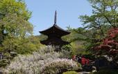 Туры в отель Nanjo Ryokan