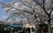 Туры в отель Nanjo Ryokan