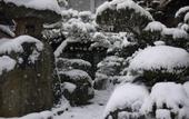 Туры в отель Nanjo Ryokan