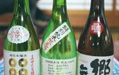 Туры в отель Nanjo Ryokan