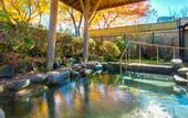 Туры в отель Conifer Iwabitsu