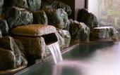 Туры в отель Conifer Iwabitsu