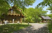 Туры в отель Conifer Iwabitsu