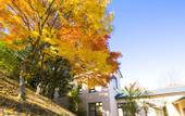 Туры в отель Conifer Iwabitsu