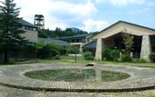 Туры в отель Conifer Iwabitsu