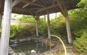 Туры в отель Conifer Iwabitsu