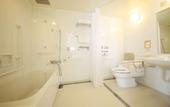Туры в отель Hotel Lifetree Hitachinoushiku